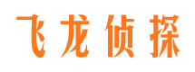 乾安市调查公司